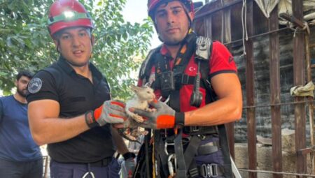 MERSİN BÜYÜKŞEHİR İTFAİYESİ YAVRU KEDİYE YENİDEN YAŞAM UMUDU OLDU – Mersin Halk Haber