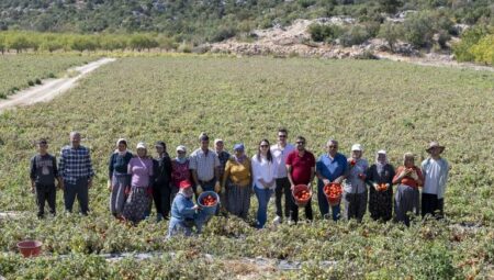 MERSİN BÜYÜKŞEHİR BELEDİYESİ’NDEN YÜZDE 70’İ HİBELİ DOMATES FİDESİ DESTEĞİ – Mersin Halk Haber
