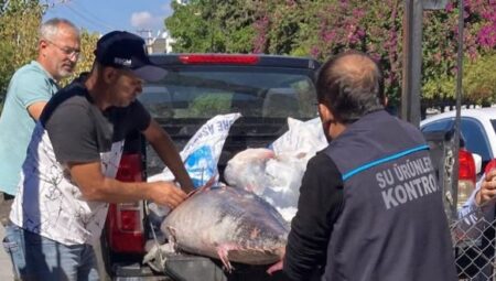 Mersin’de Kaçak Balığa El Konuldu, İşletmeye Ceza Kesildi – Mersin Halk Haber