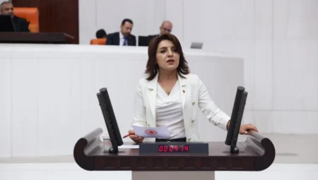 CHP’li Gülcan Kış: “Emekliye Yok Denilen Para Faize Gitti”